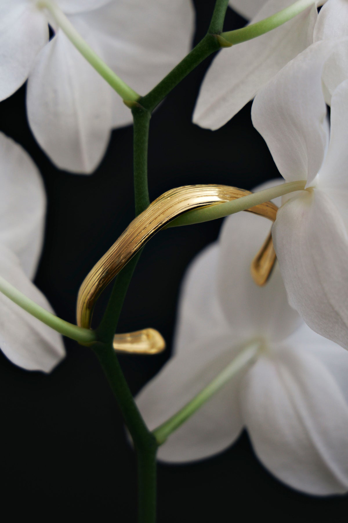 Bracelete Voltas | Demgo